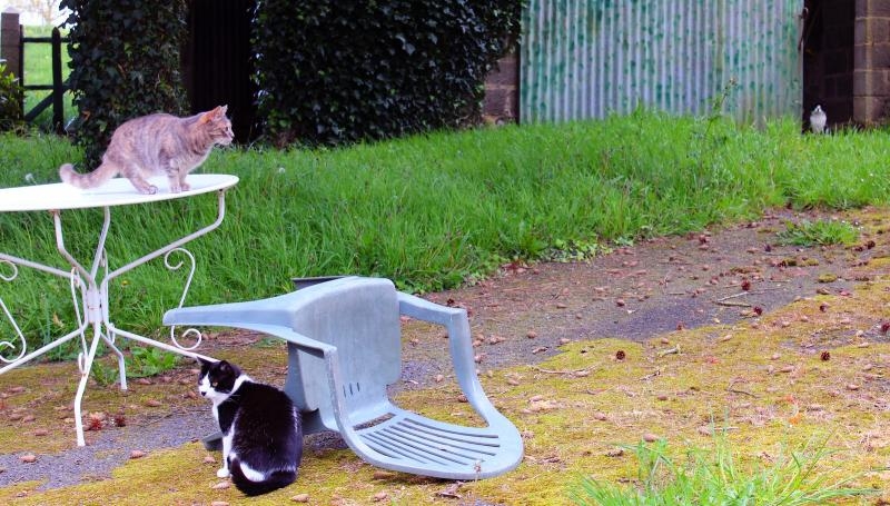 eh non, ça n'est pas Mimoun...!