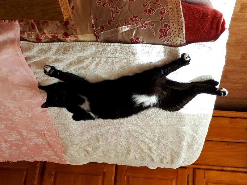 En mode décontracté je me prélasse