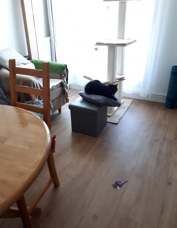 En mode "Tombera tombera pas"