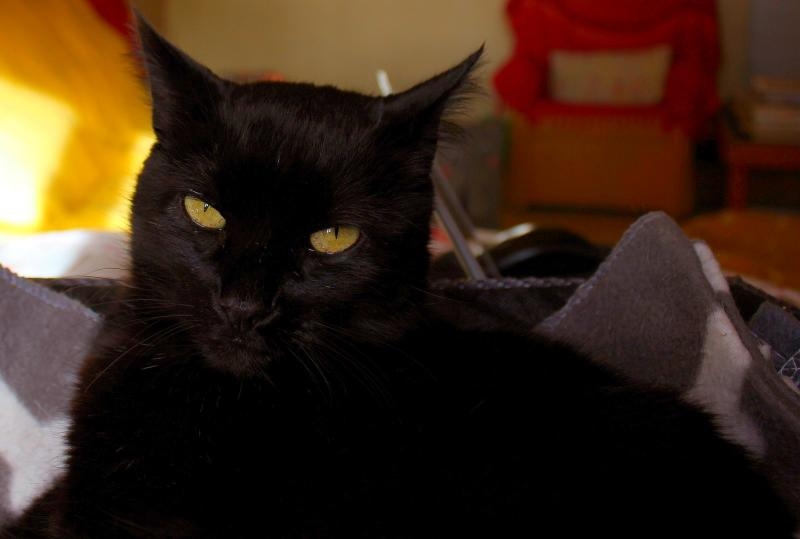 ... et plus sombrement, par Chiquito !...