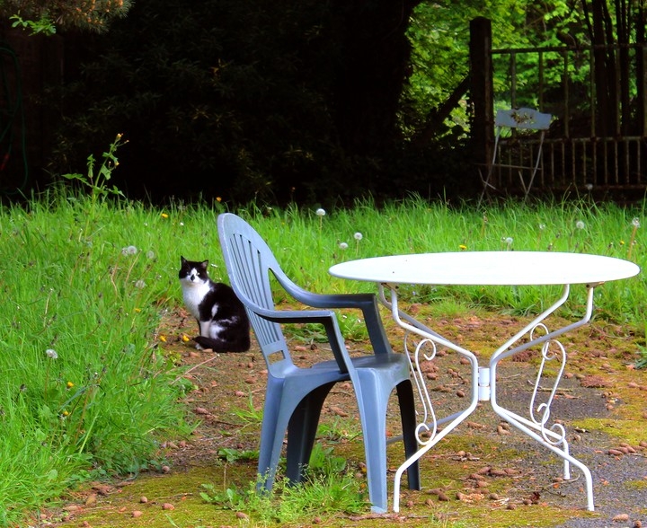 ... et se rapproche... !