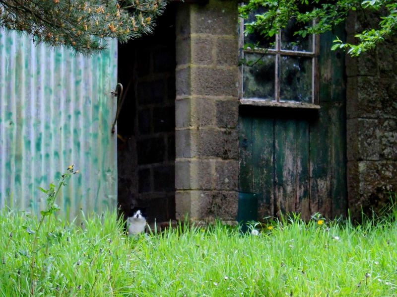 et une surprise depuis quelques jours...!