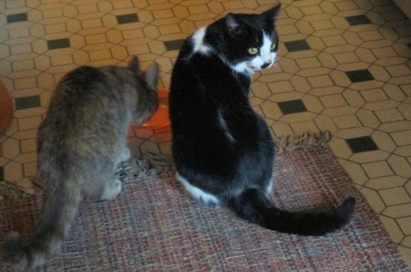 Il a envie de sortir, mais j'attends encore un <br />peu...