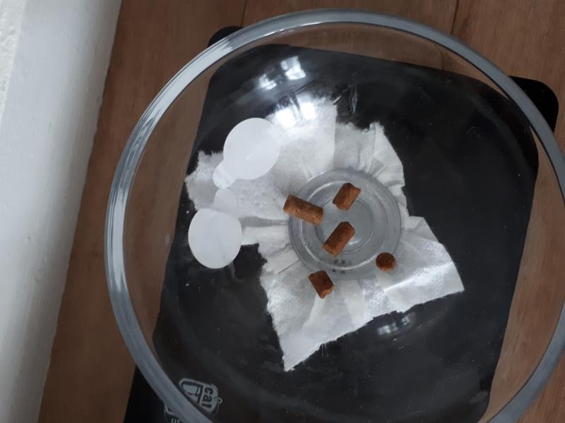 Il ne reste que les nouvelles