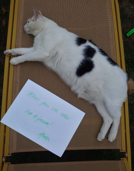 remerciements marlyer.jpg