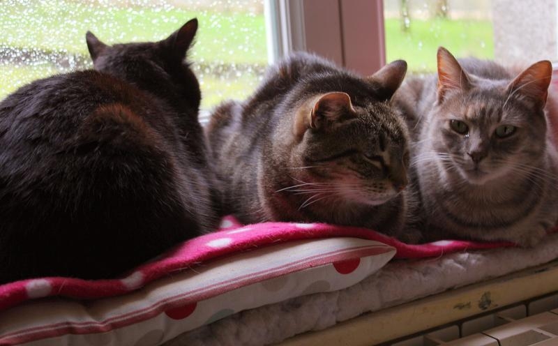 Janvier 2024 015.JPG