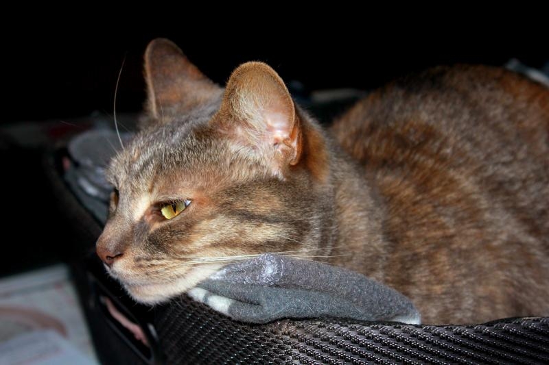 Janvier 2024 014.JPG