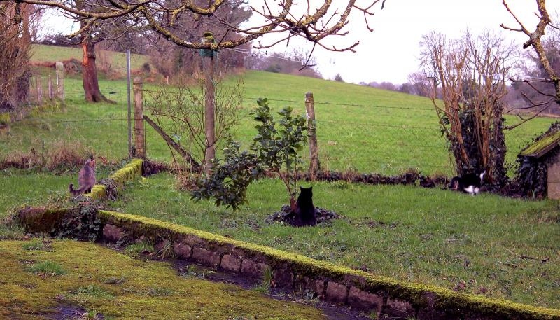 Janvier 2024 022X.JPG