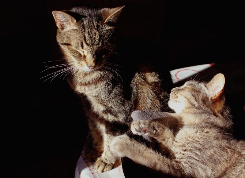 14-19 janvier 2024 013.JPG