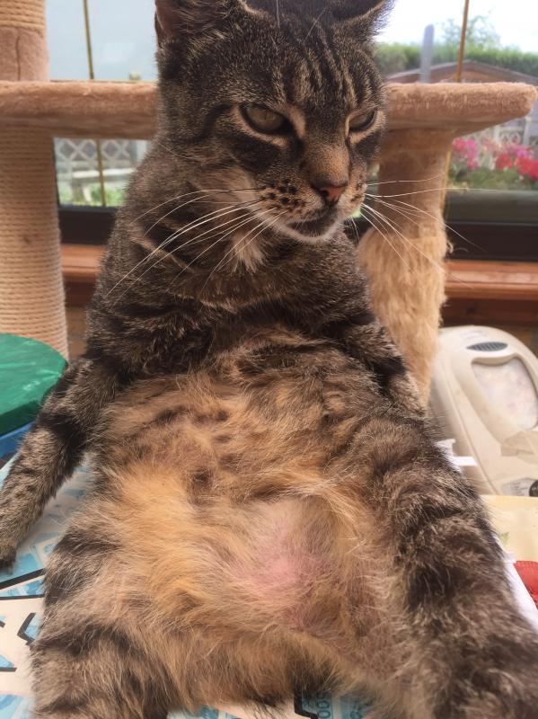 2008-07-30 001 843.jpeg