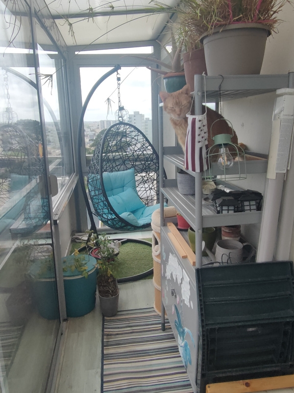 2024-05-05 16.45.01.jpg