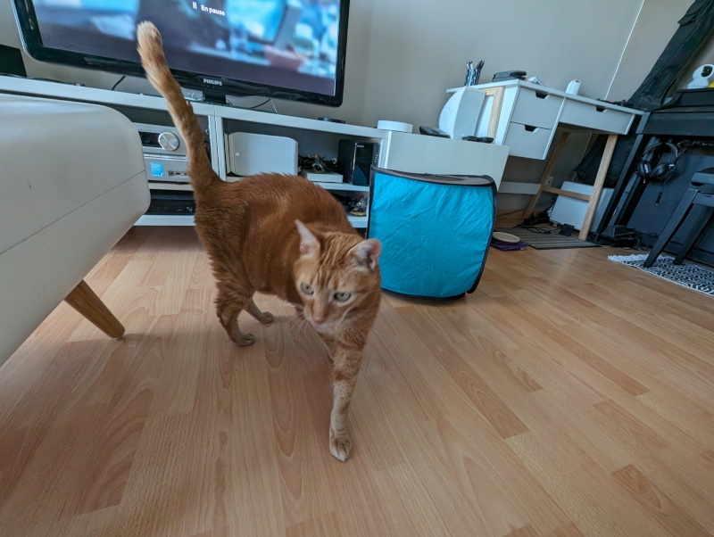 2024-05-09 19.03.09.jpg