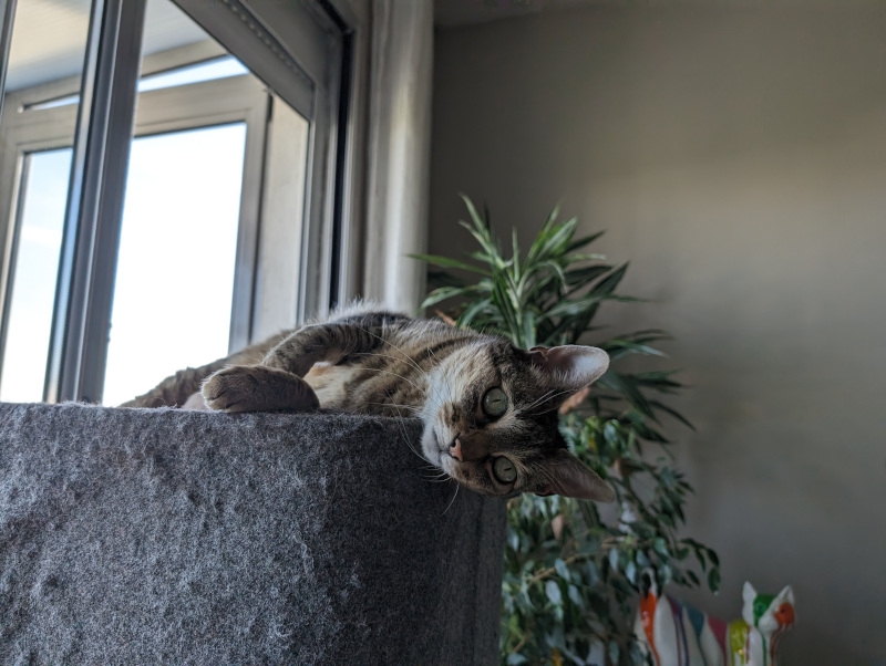 2024-05-09 19.02.41.jpg