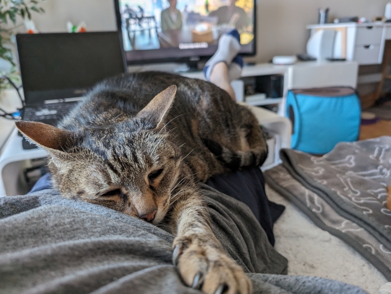 2024-05-09 19.39.46.jpg