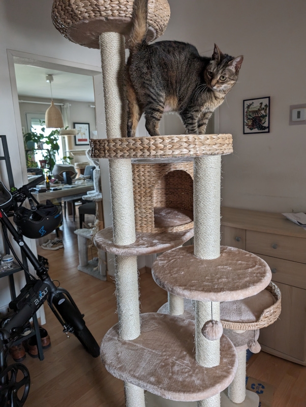 2024-05-10 19.39.30.jpg