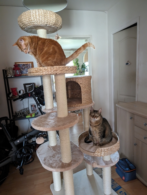 2024-05-10 20.07.29.jpg