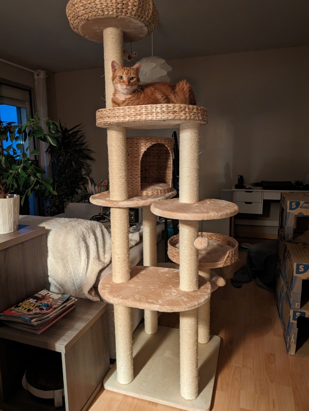 2024-05-10 22.21.36.jpg