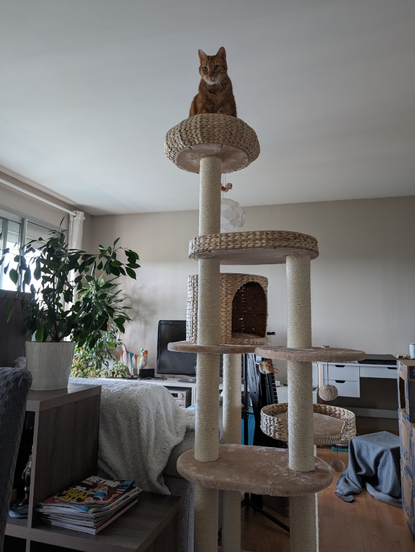 2024-05-11 09.23.26.jpg