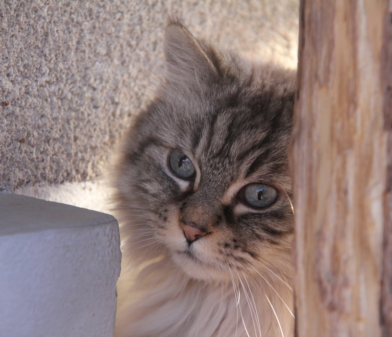 Albane 01 2020 a.JPG