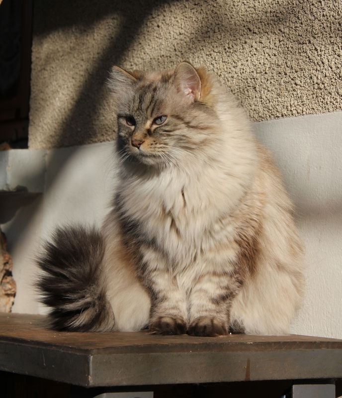 Albane 01 2020 c.JPG