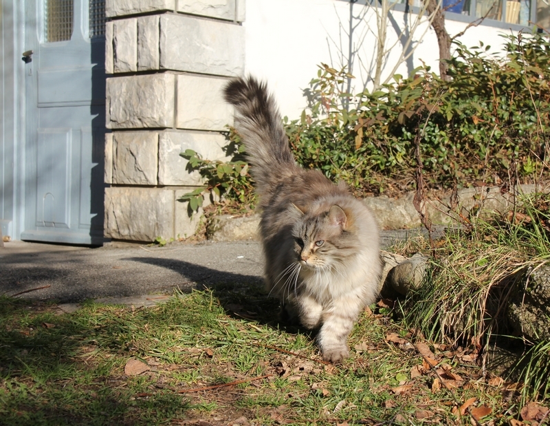 Albane 01 2020 d.JPG