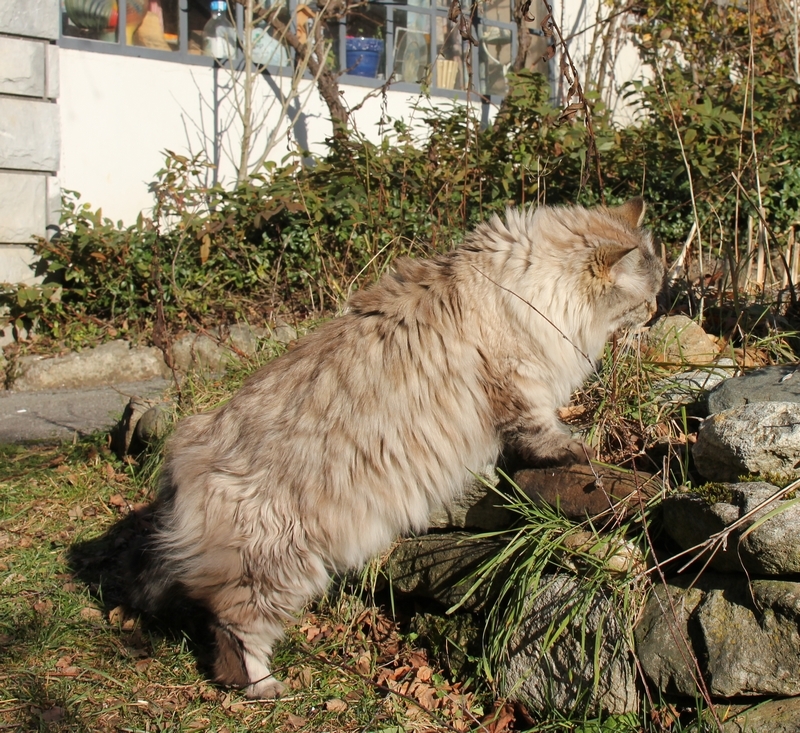 Albane 01 2020 e.JPG