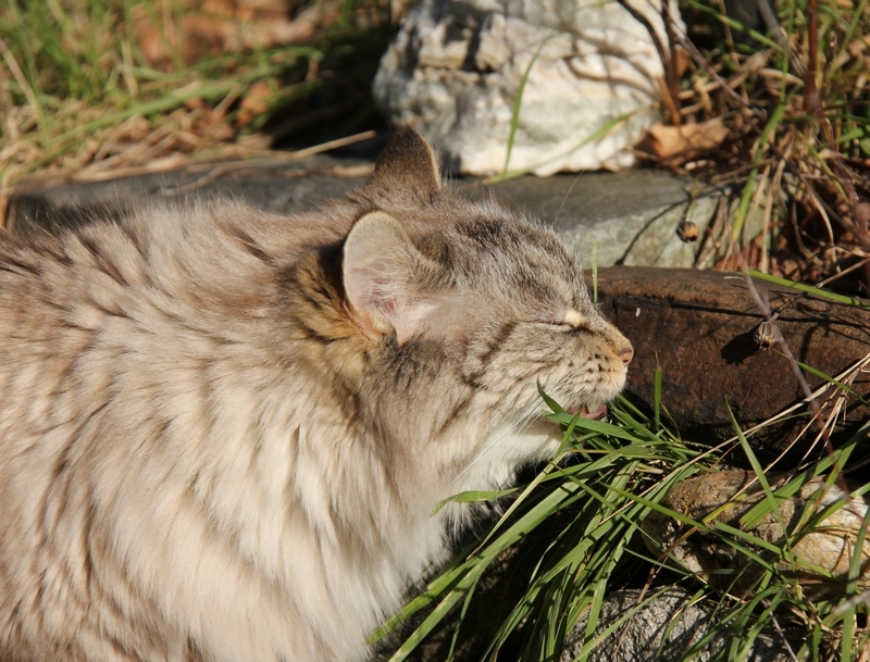 Albane 01 2020 g.JPG