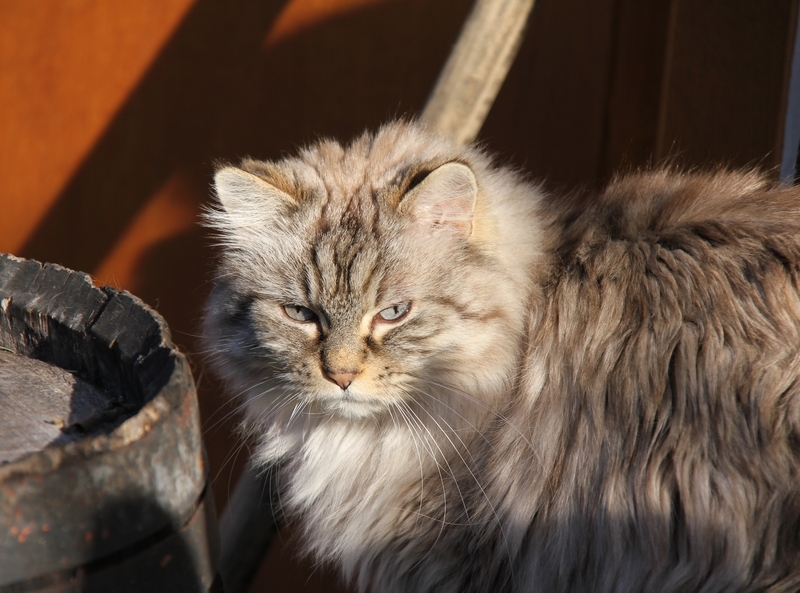 Albane 01 2020 b.JPG