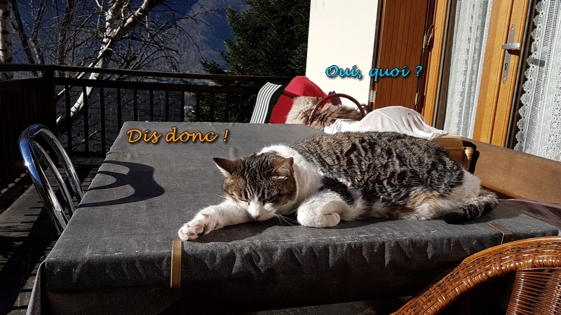 Mistral Albane 01 2020 a.jpg