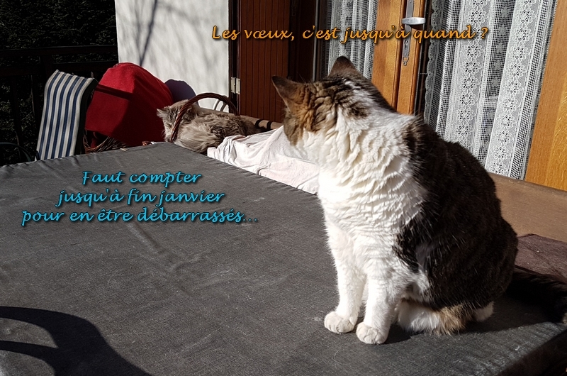 Mistral Albane 01 2020 b.jpg