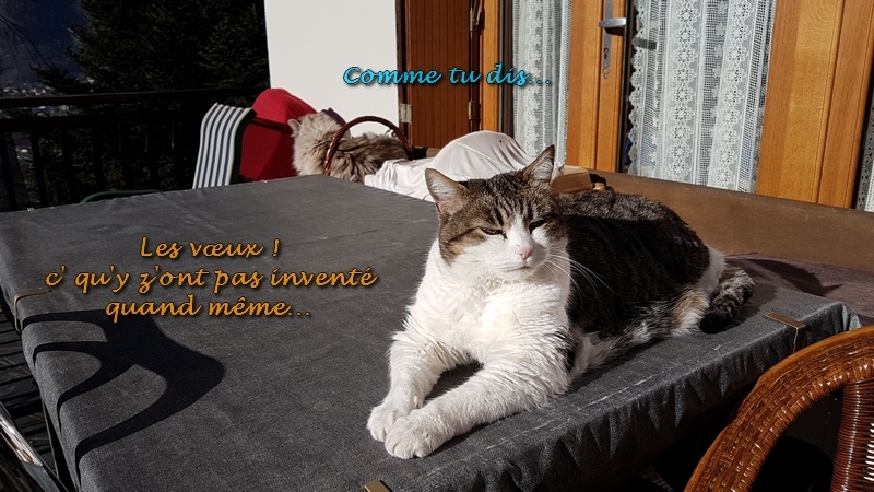 Mistral Albane 01 2020 d.jpg