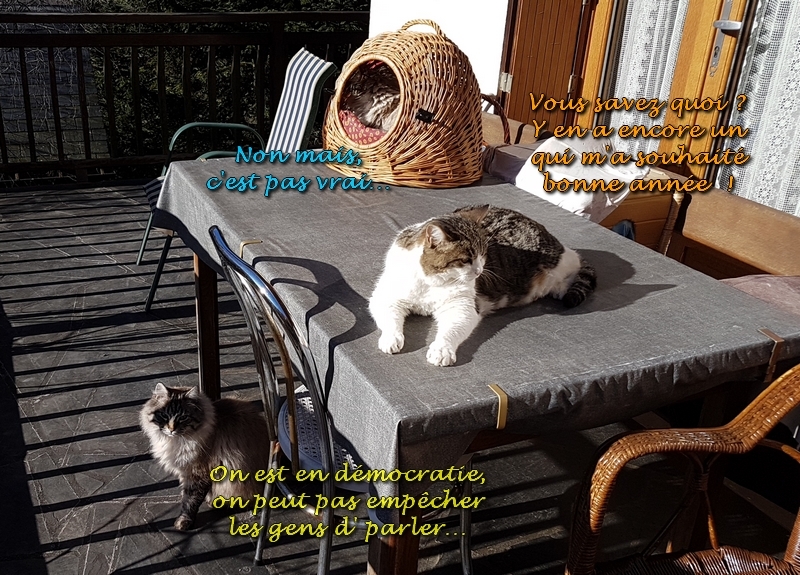 bonne année 2020 4.jpg