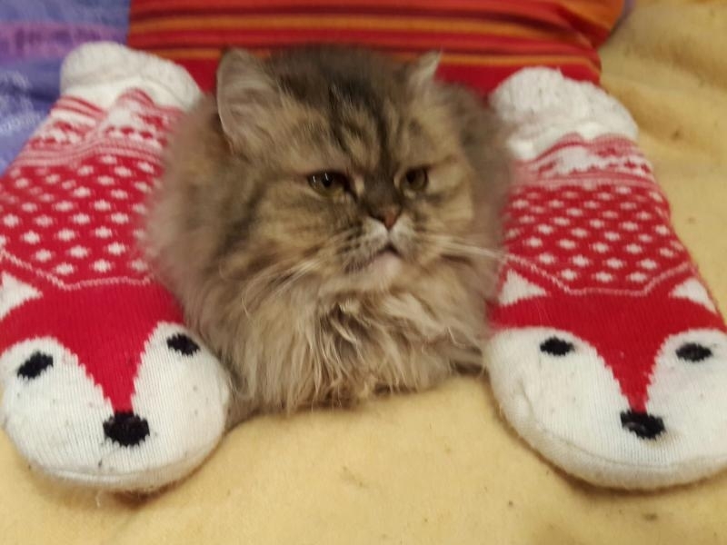 Ganache + Corinne.jpg