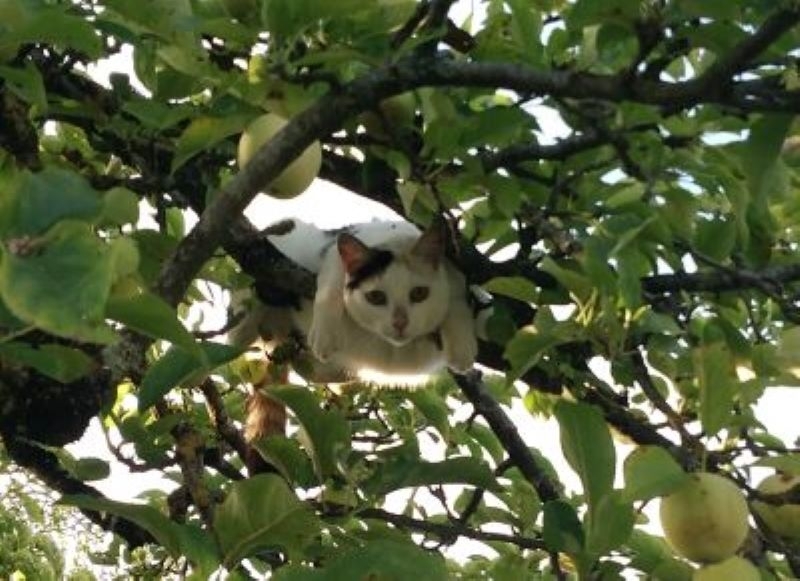 Marlye + Noubette.jpg