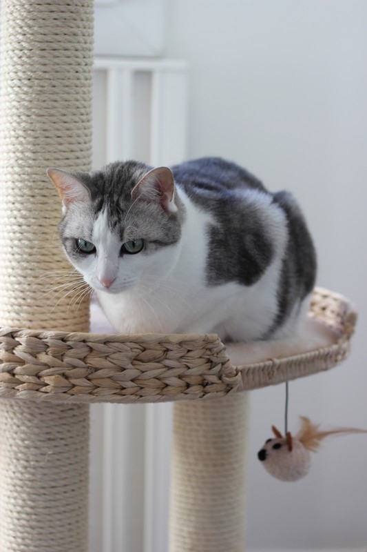 Chanelle + Manon.JPG