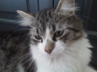 Arnav un peu flou.jpg