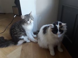 arnav et frimousse.jpg