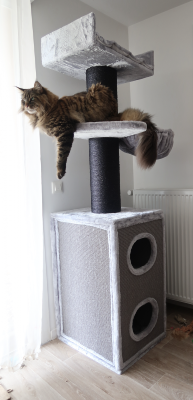 Capture d’écran 2021-07-07 à 15.47.34.png