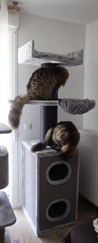 Capture d’écran 2021-07-07 à 15.49.01.png