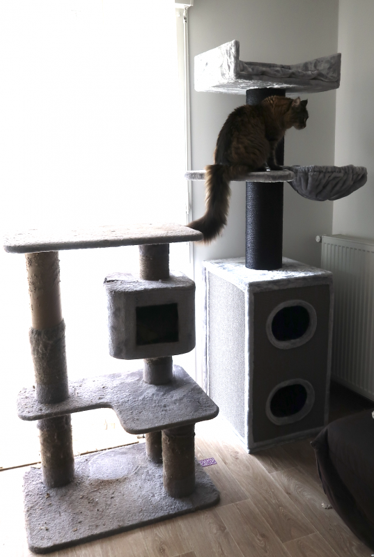 Capture d’écran 2021-07-07 à 15.56.22.png