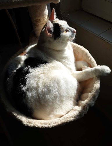 Marlye 140322red.jpg