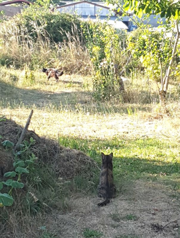 Mira et honoréred.jpg