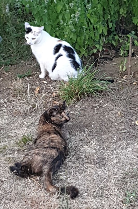 MM16 juillet red.jpg