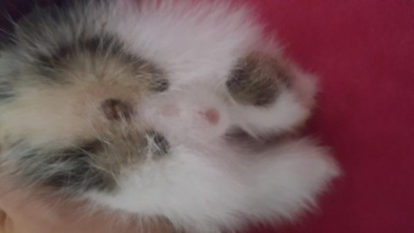 20180625_080149.jpg