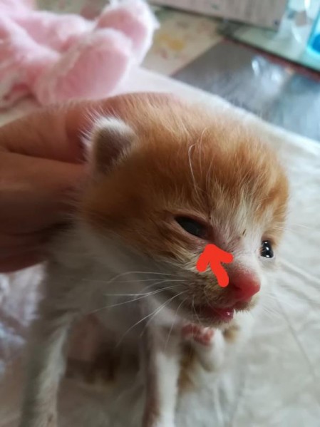 received_2159494887703733.jpeg