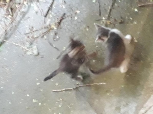 20180514_184628.jpg