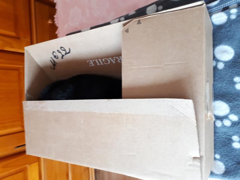 Je vais me cacher là comme ça maman ne m'oubliera pas ! Chut