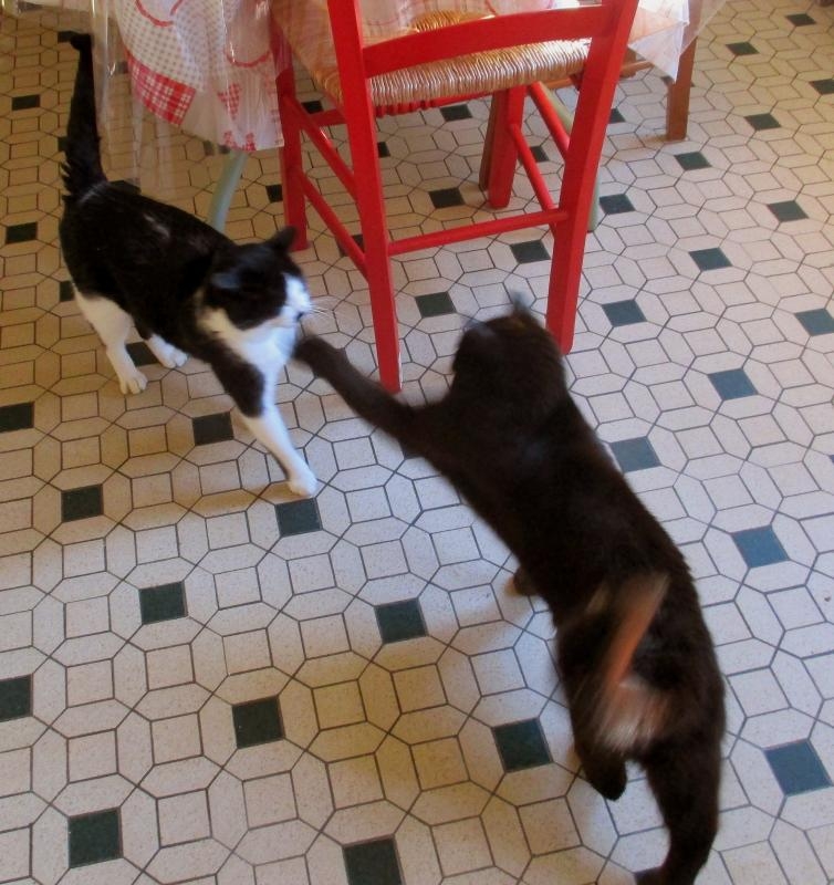 Jeux de mains, jeux de vilains !...