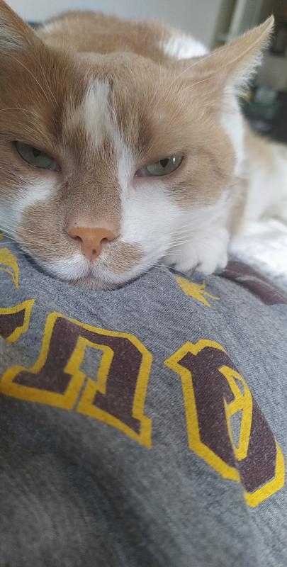 La sieste sur maman c'est le mi