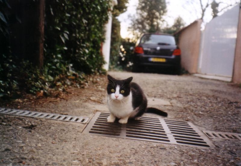 La toute première photo de Bouboule, on peut voir sa frayeur !